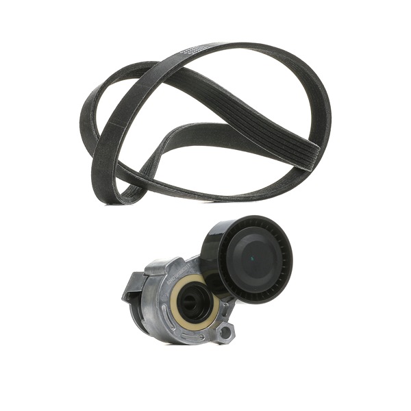 RIDEX PLUS 542R0170P multiriem set Clio 3 1.5 dCi 88 Pk Diesel 2014