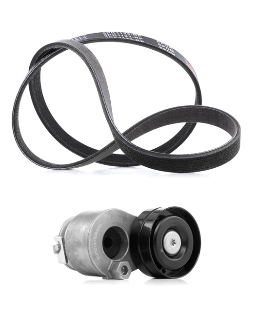 RIDEX PLUS 542R0179P Multiriem set OPEL Vivaro A Flatbed Vrachtwagen / Chassis (X83) 1.9 Di 82 Pk Diesel 2005