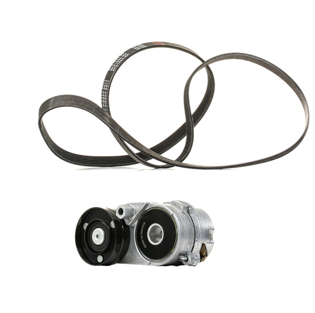 RIDEX PLUS 542R0534P multiriem set Audi A4 B6 Cabrio 2.4 170 Pk Benzine 2002