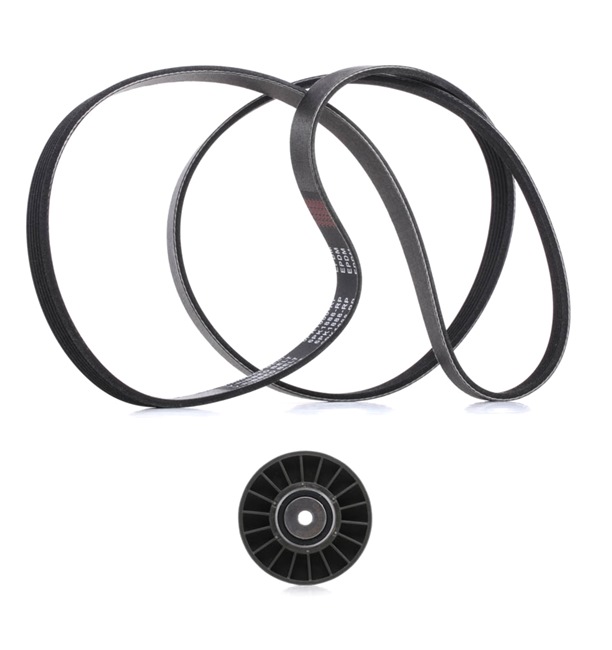 RIDEX PLUS 542R0123P Calidad y precios justos