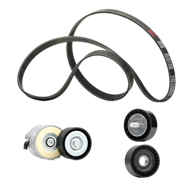 RIDEX PLUS 542R0163P Calidad y precios justos
