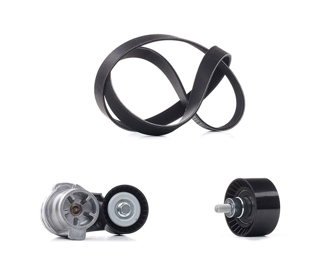 RIDEX PLUS 542R0556P Calidad y precios justos