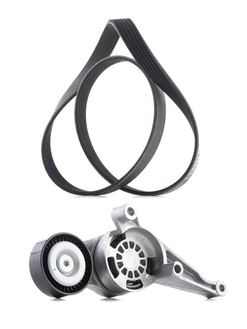 RIDEX PLUS 03G903315C Poly V-riem set 542R0115P