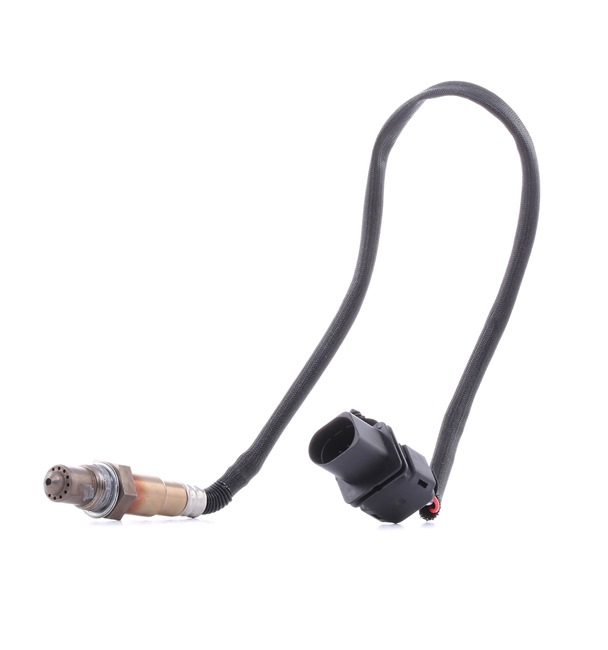 RIDEX PLUS 3922L0317P 1A-Qualität und faire Preise
