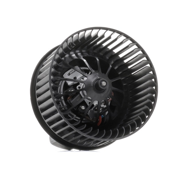 RIDEX 2669I0341 Pulseur d'air Ford C Max 2