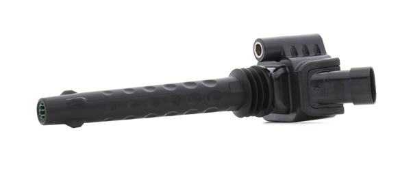 RIDEX PLUS 689C0220P Bobina d'accensione ABARTH PUNTO Acquista a prezzi scontati