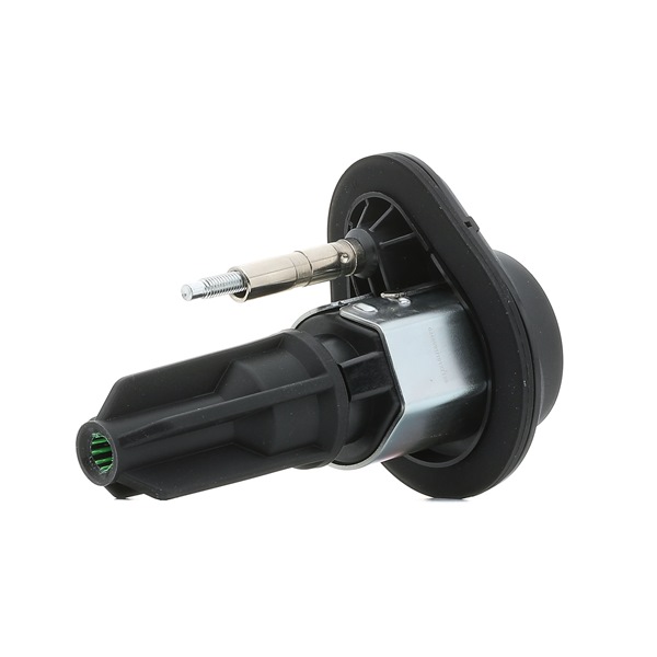 RIDEX PLUS 689C0349P Zündspule HUMMER Kosten