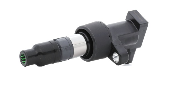 RIDEX PLUS 689C0055P Jaguar S Type x200 Sytytyspuola