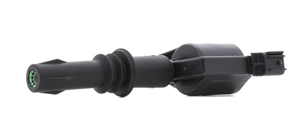 RIDEX PLUS 689C0387P Calidad y precios justos