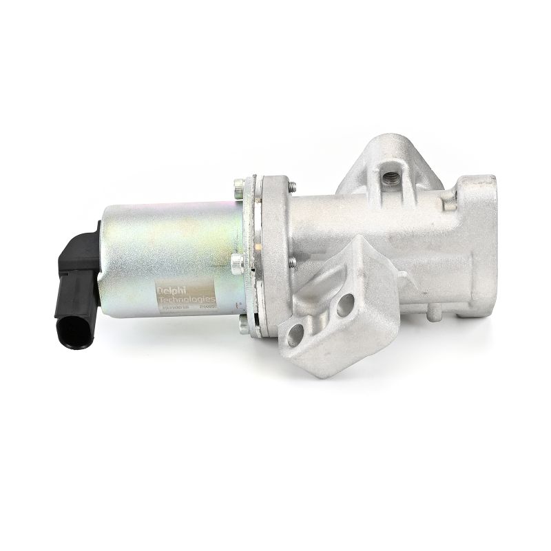 DELPHI EG10618-12B1 EGR klep H-1 2.5 CRDi 140 Pk Diesel 2005