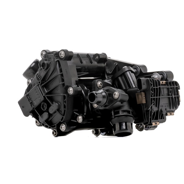 INA 538 0810 10 replacement BMW F20 thermostat price