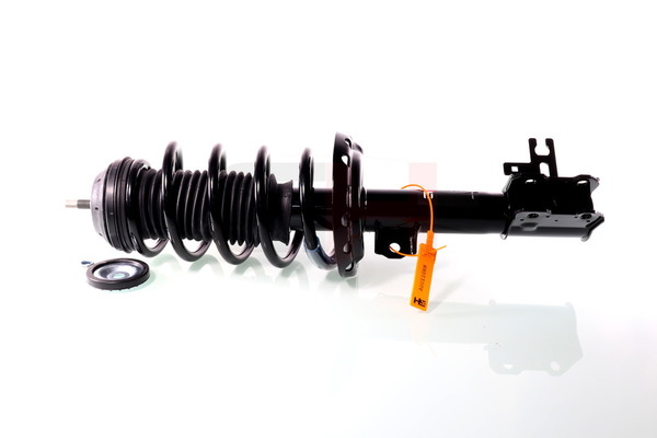 GH-353613C02 GH 13293569 Federbein