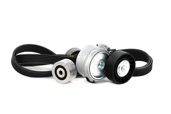 Dirzas pleistiskas polifoninis SNR CITROËN C25 KA866.08