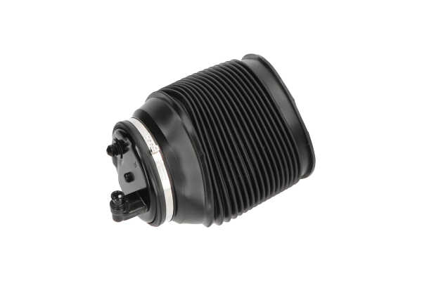 SAS-10012 KAVO PARTS 4808035011 Luftfeder, Fahrwerk