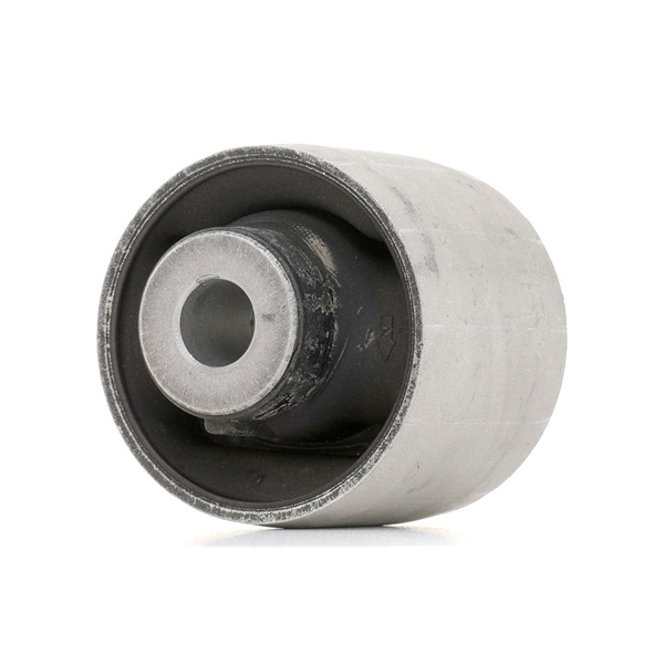 251T1093 RIDEX 31126775979 Lagerung, Lenker