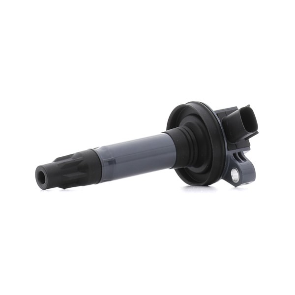 RIDEX 689C0497 FORD USA Zündspule Kosten