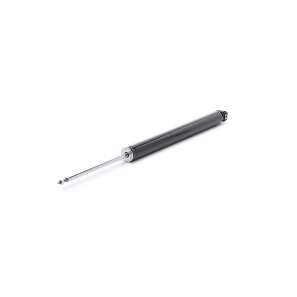 RIDEX CV6Z18125H Amortizatorius 854S18984