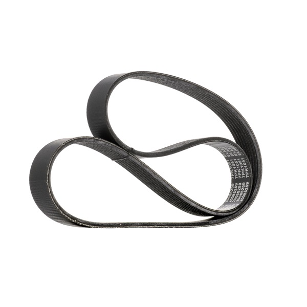 RIDEX 305P0655 Correia do alternador DACIA Jogger I MPV preço