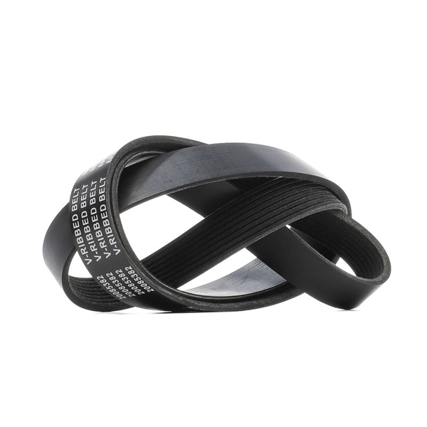 RIDEX 305P0664 multiriem 1 373 180