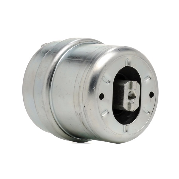 RIDEX 7D0199132A Moottorin tuki 247E1096