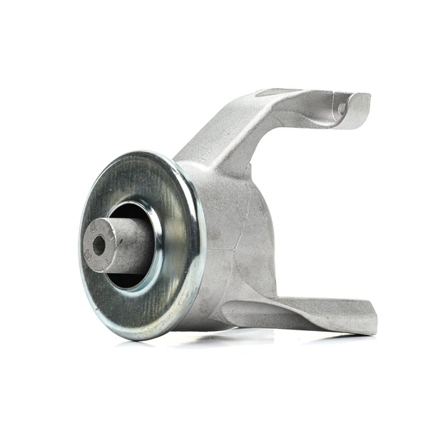 RIDEX 7E0 199 849 B Ulożenie motora 247E1101