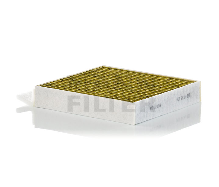 MANN-FILTER FP 25 034-2 Innenraumfilter MERCEDES-BENZ S-Klasse Limousine (W223)