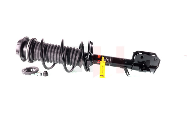 GH-355253C02 GH 4160268L50 Federbein