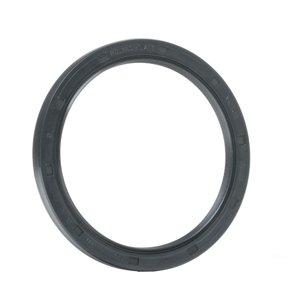 REINZ 81-34798-00 Kvalitet og rimelige priser