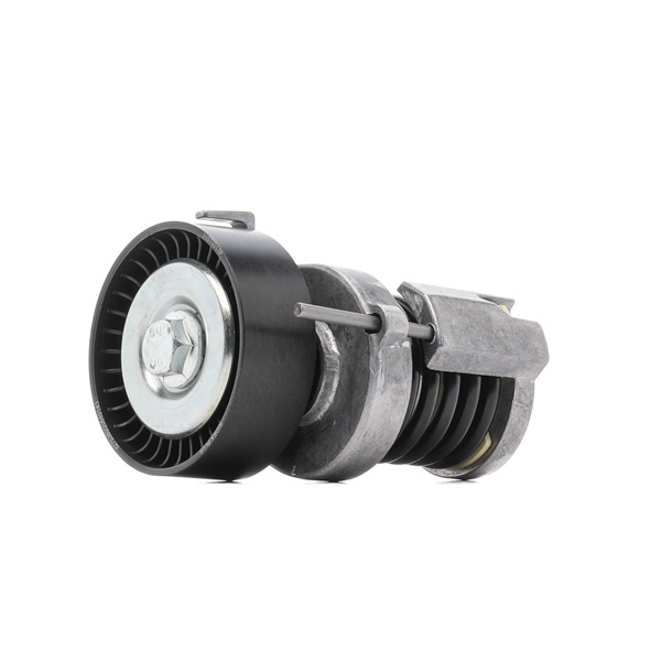 RIDEX PLUS 310T0017P Rullo tendicinghia Golf 4 Cabrio originale prezzo