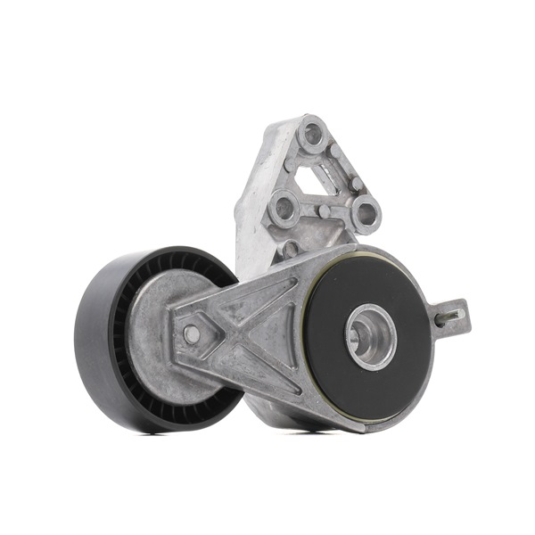 Tensor, correia trapezoidal estriada 540T0009P RIDEX PLUS Tensor da correia de acessorios custo