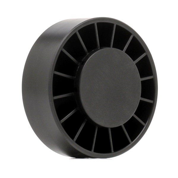RIDEX PLUS A661 200 3070 Spanrol, poly V-riem 310T0003P