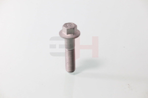 GH GH-392549 schroef, aseind W703214-S442