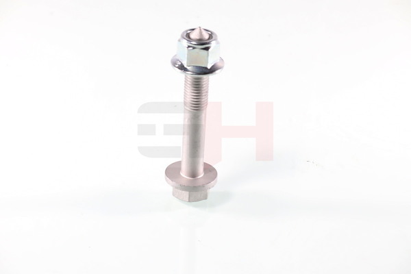 GH GH-394710 schroef, aseind N10106401