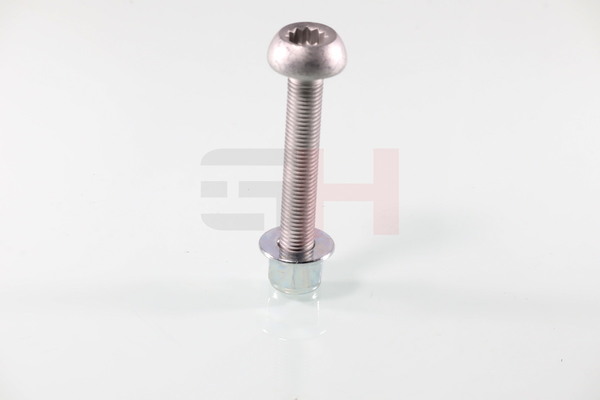 Schroef, aseind GH GH-399961