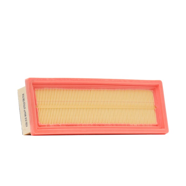 RIDEX PLUS 55192012 Filtre à air 8A0047P