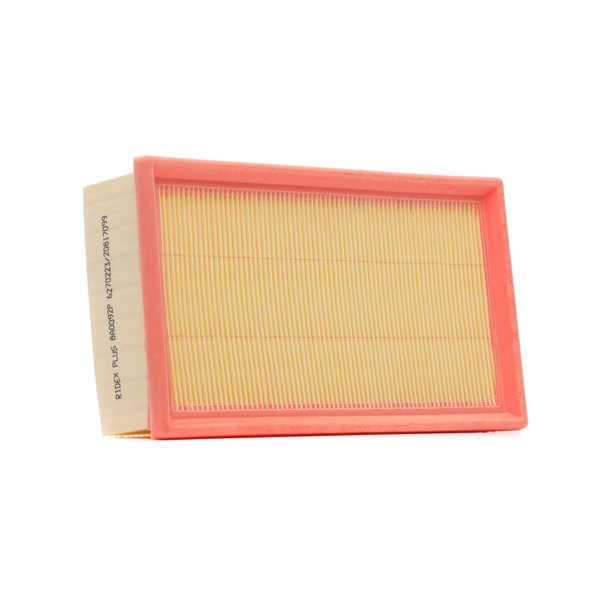Oro filtras 8A0092P RIDEX PLUS Oro filtras kaina