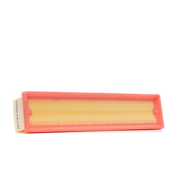 Oro filtras 8A0173P RIDEX PLUS Variklio oro filtras kaina