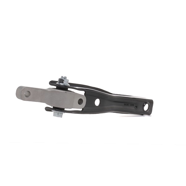 RIDEX 5Q0199855P Soporte de motor 247E1136