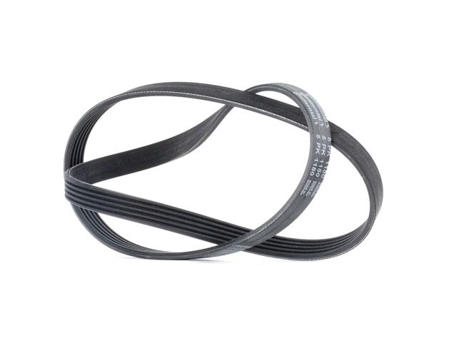 Cinghia Poly-V Continentale CTAM 6PK2581 | Per Volkswagen Crafter 2.5 TDI