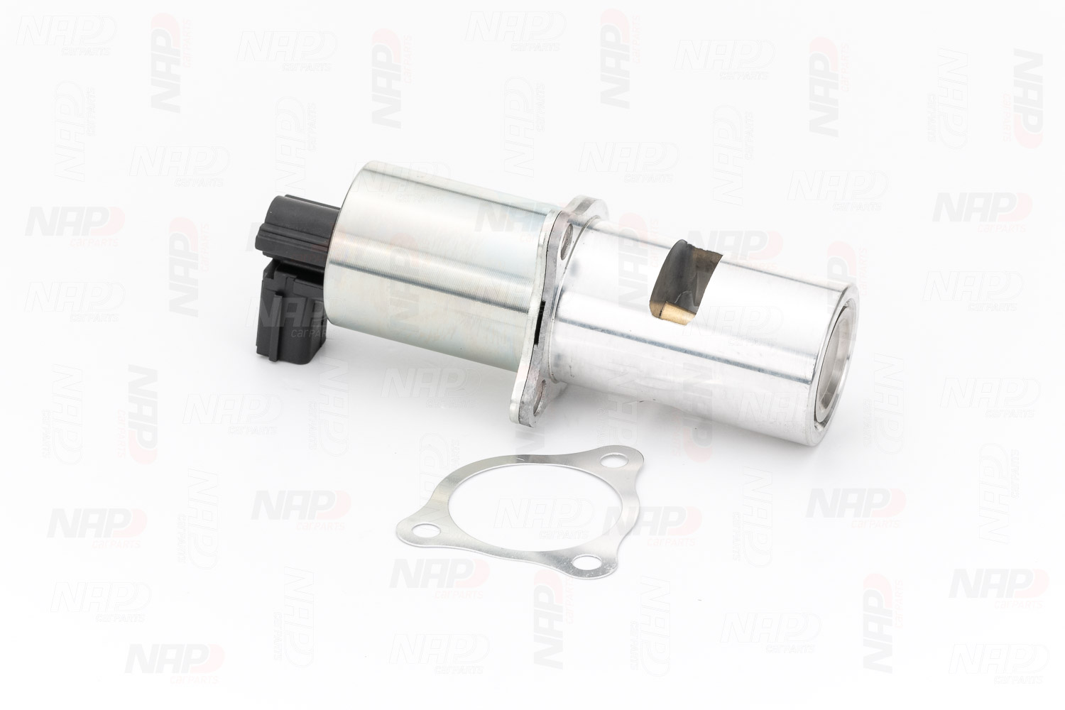 NAP carparts CAV10020 EGR ventil Renault Laguna 2 1.9 dCi 130 KS nafta 2005