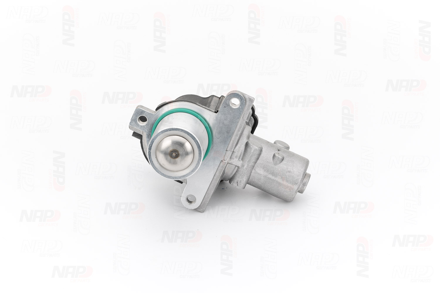 NAP carparts CAV10060 egr klep 1495600QAK