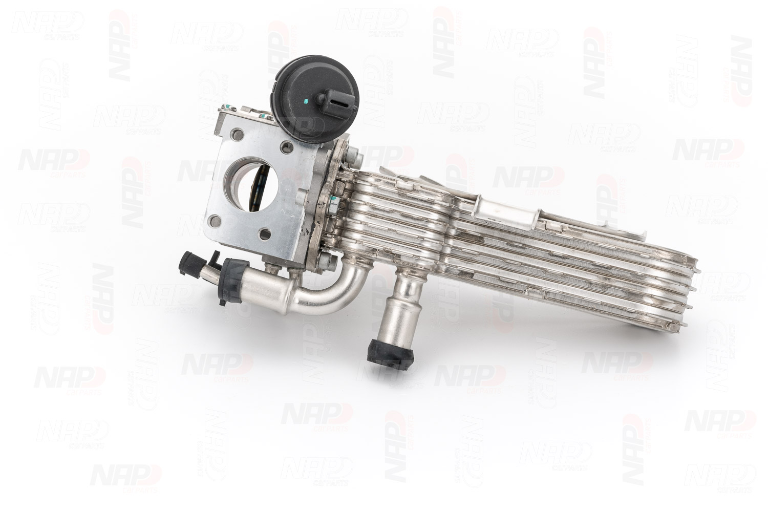 NAP carparts 03G 131 063E Válvula EGR CAV10178