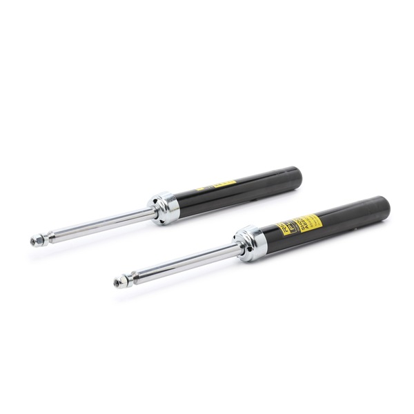 854S1736P RIDEX PLUS 5202P0 Shock absorber