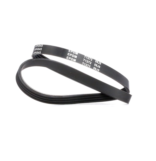 MEYLE 050 004 0845 Cinghia servizi Honda CR-V mk1 originale prezzo