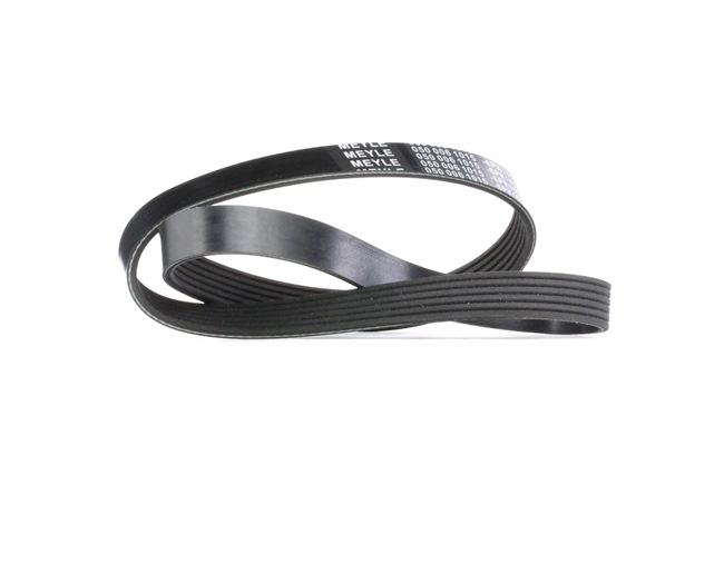 Ribrem MEYLE RENAULT CLIO 050 006 1015