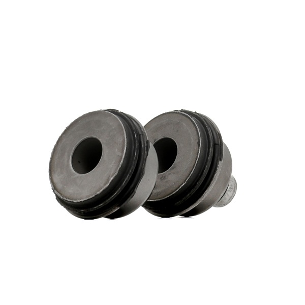 RIDEX 251T1273 %KIND% high quality at dicount prices