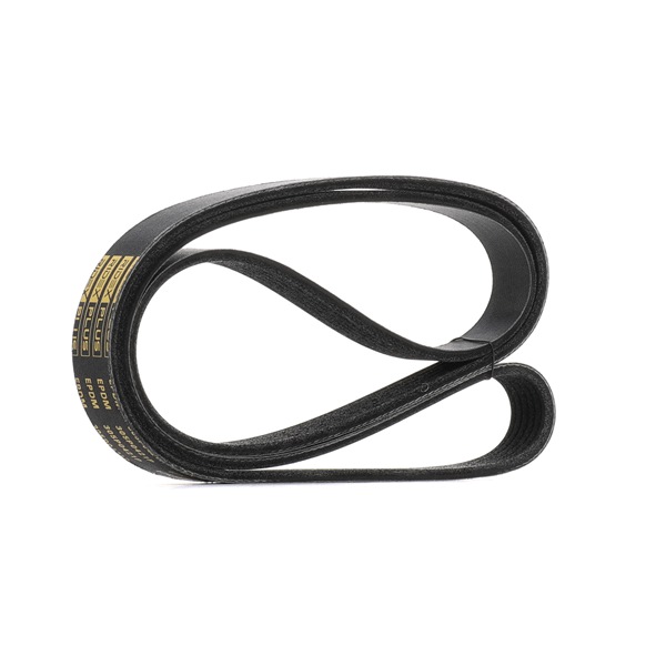 RIDEX PLUS 305P0421P Rebrasti jermen MASERATI