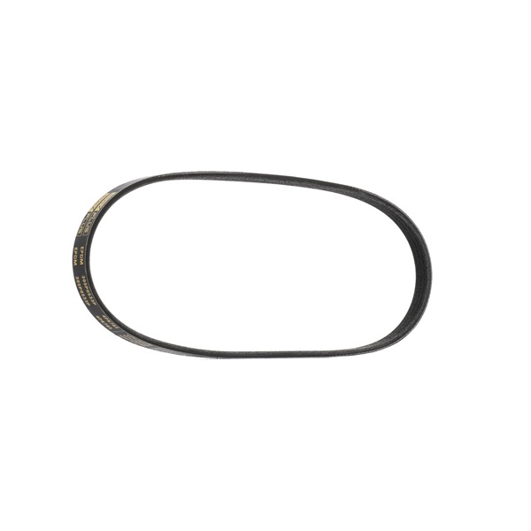 RIDEX PLUS 4918160A00 Keilrippenriemen 305P0533P
