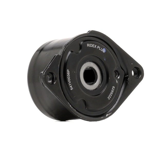 RIDEX PLUS 541V0036P A-kwaliteit en eerlijke prijzen