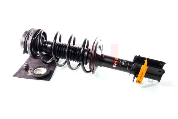 GH-352387C05 GH 50703947 Federbein